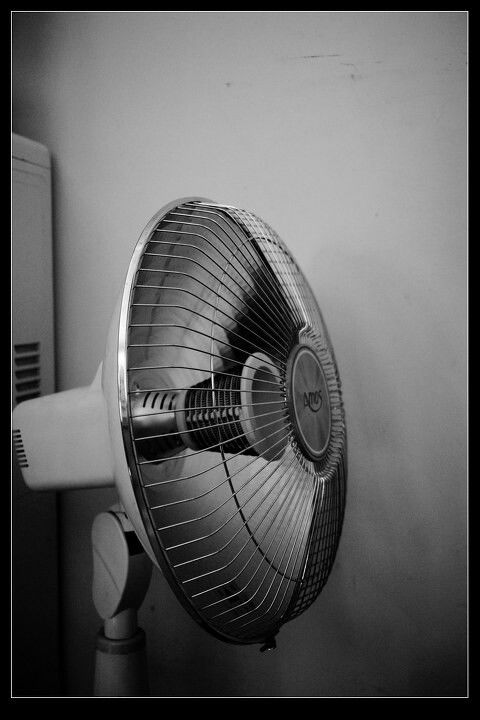 电热风扇的原理、应用与选购指南